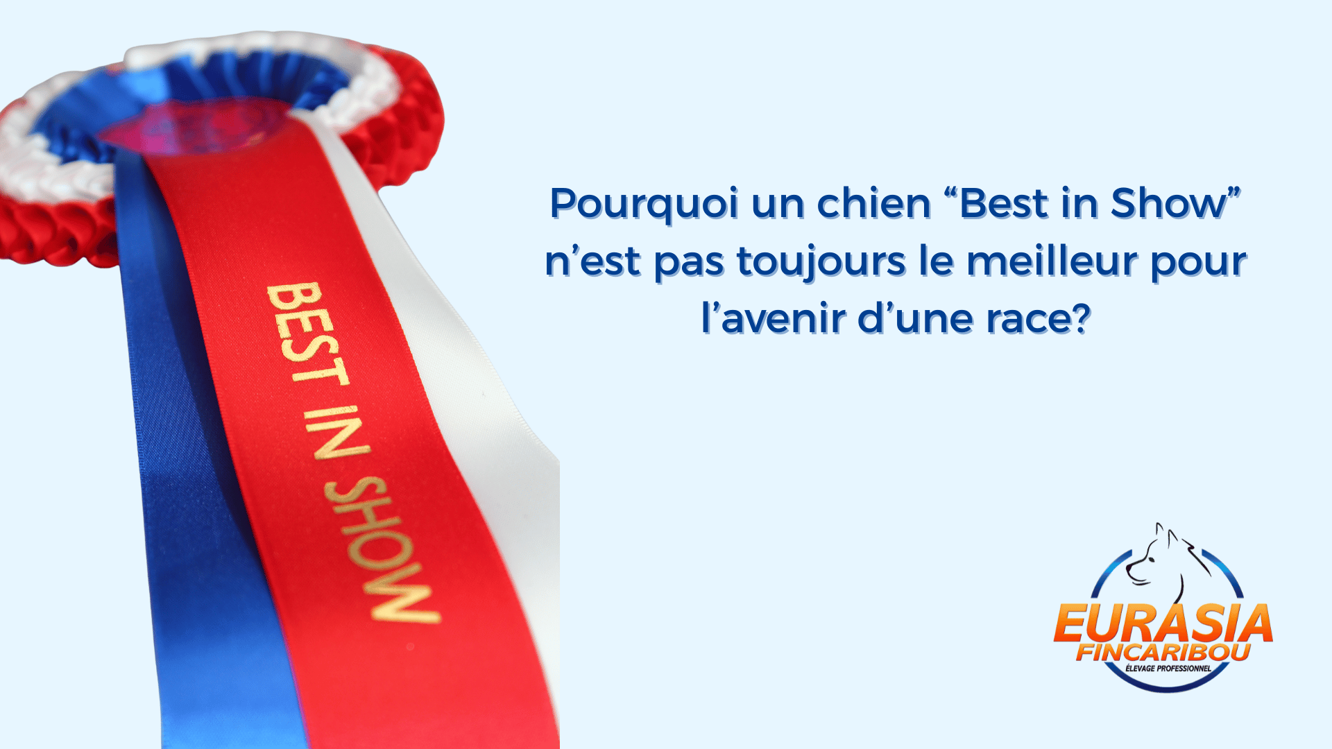 best in show