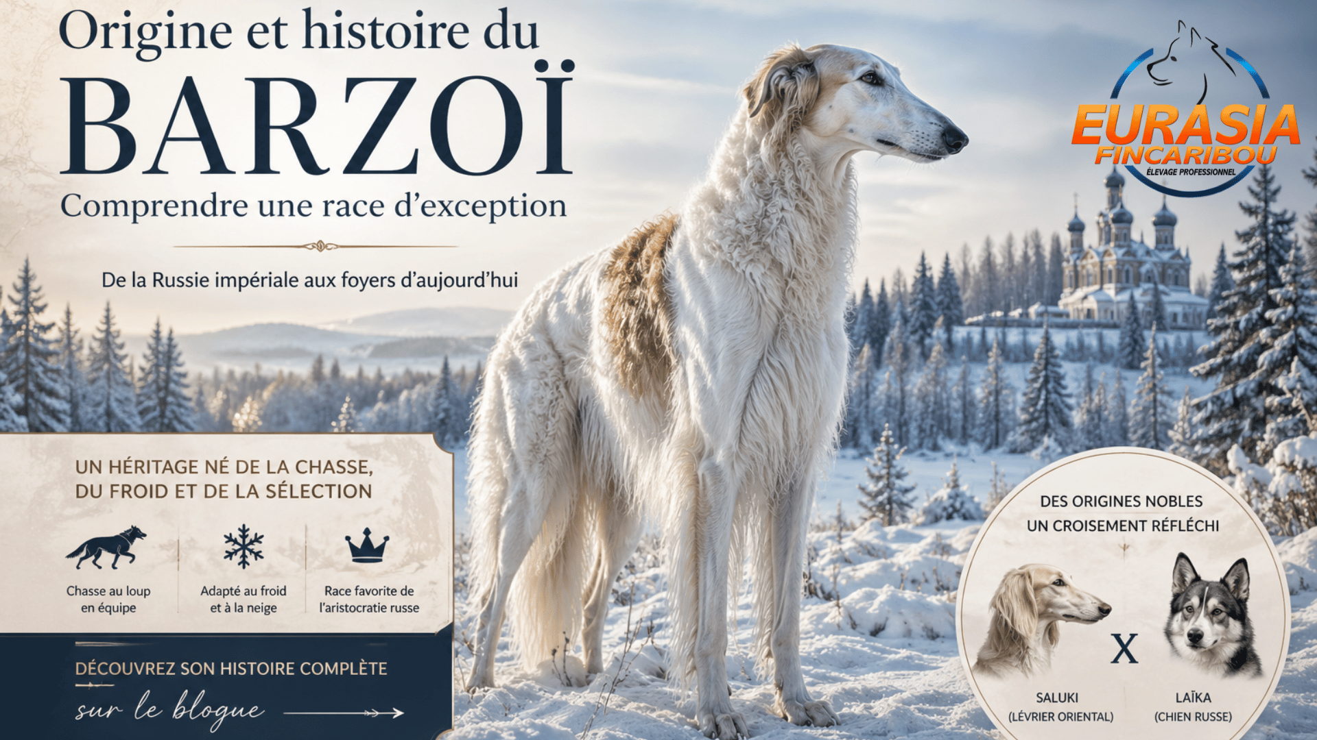 image IA représentant un Barzoï dans un paysage hivernal de Russie, avec le titre origine et histoire du Barzoï