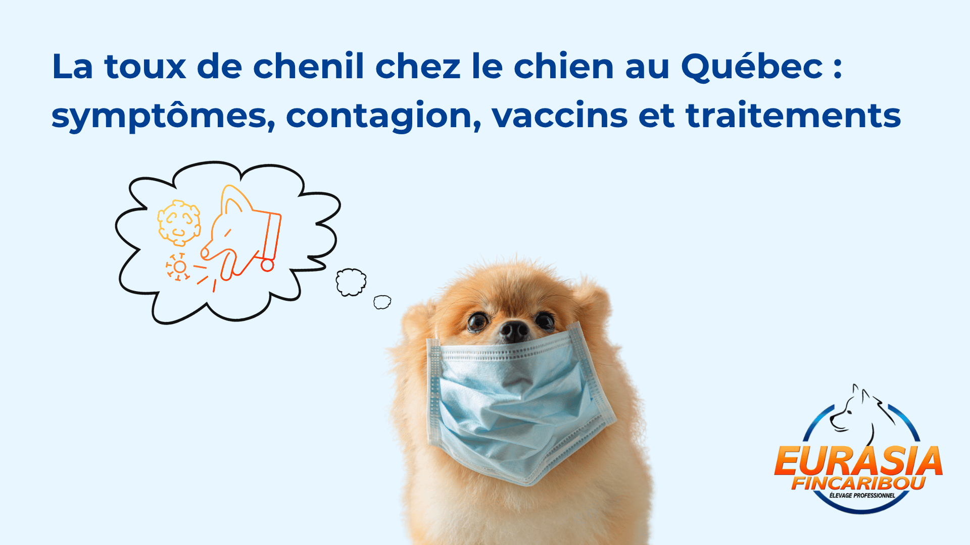 chien avec un masque parce qu'il tousse